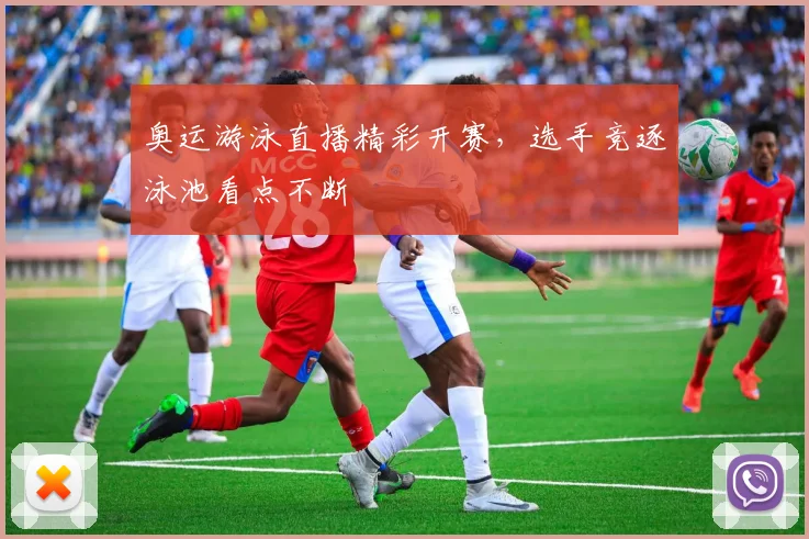 奥运游泳直播精彩开赛，选手竞逐泳池看点不断