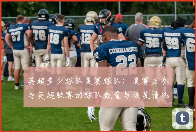英超多少球队复赛球队：复赛后参与英超联赛的球队数量与恢复情况