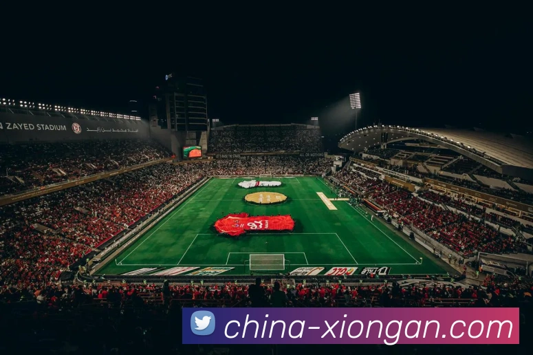 奖项证书